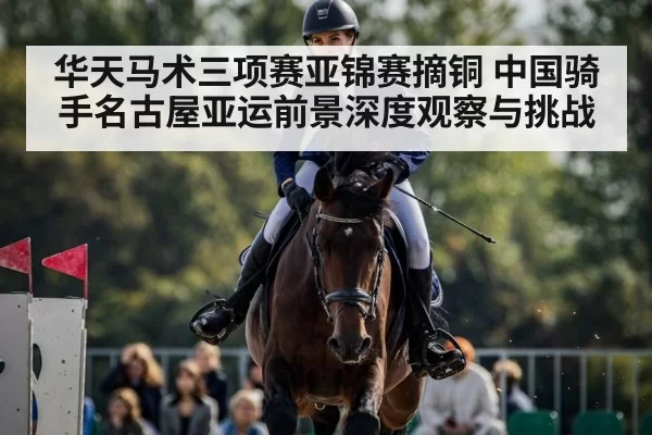 horse show jumping competition