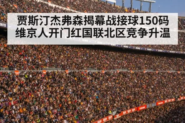 football stadium crowd