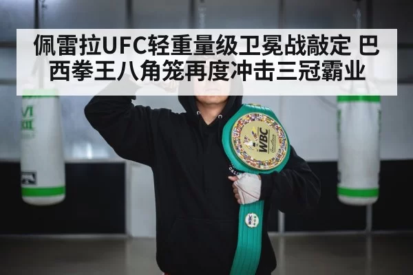 UFC championship belt